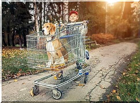 boy pushing his beagle