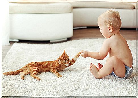 baby playing with orange kitten