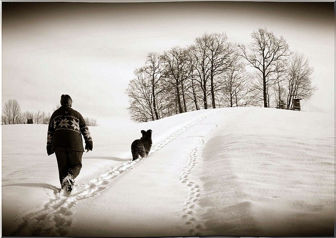 The daily walk is an excellent physical exercise.