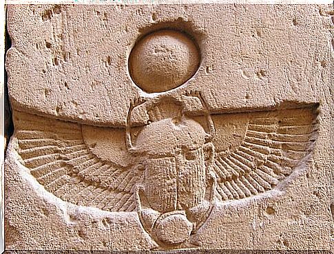 Beetles were revered in ancient Egypt