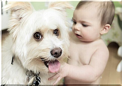 Give Your Family a Gift: Include a Dog in Your Baby's Life