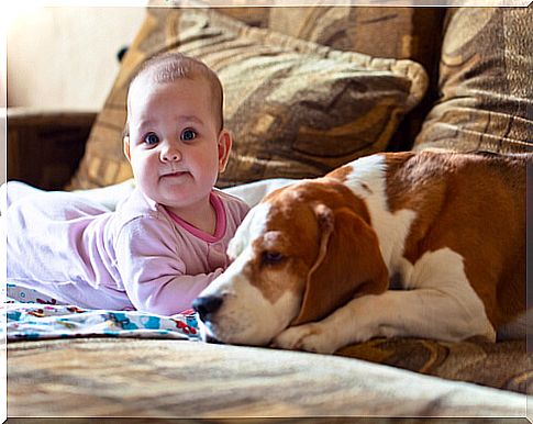 dog participating in the child's life