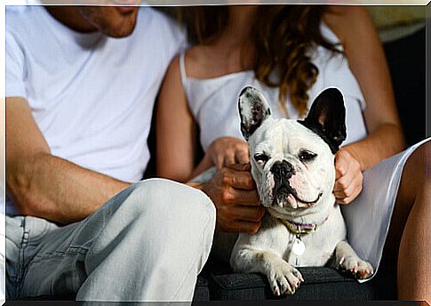 couple with dog