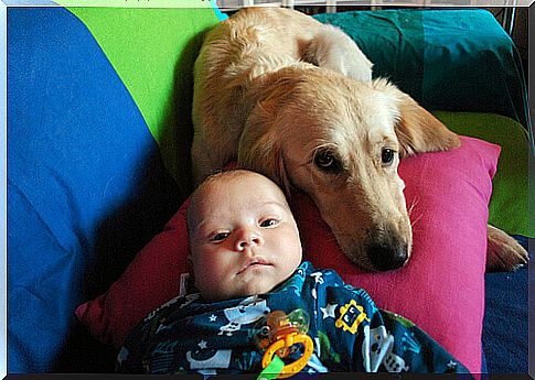 little baby and dog