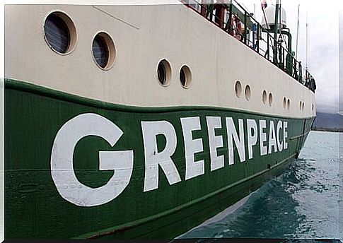 Green Peace Boat