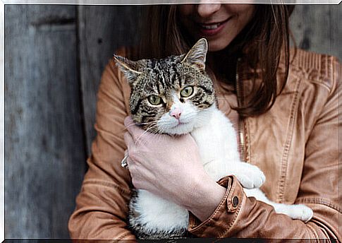 owner with cat in her lap