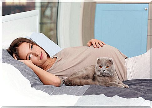 pregnant woman with kitten in bed