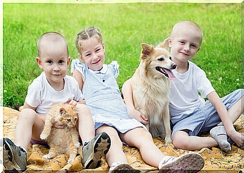 cat, dog and children