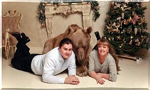 Stepan, the bear who became the pet of a Russian couple