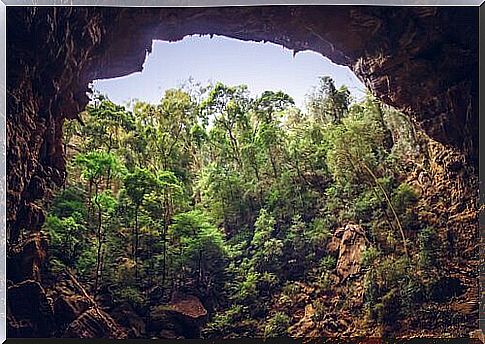 Caves of Madagascar