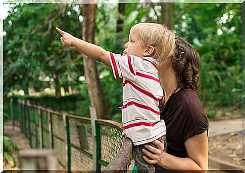 child in the zoo