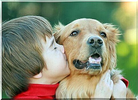 Tips for teaching our children love of animals