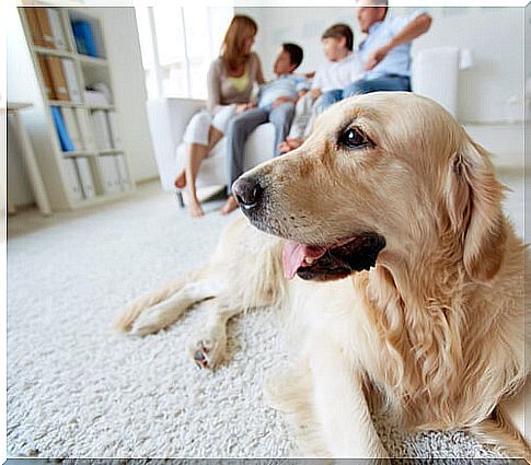 dog-and-family