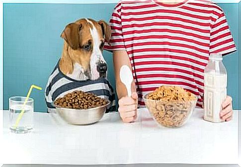 the nutritional needs of dogs