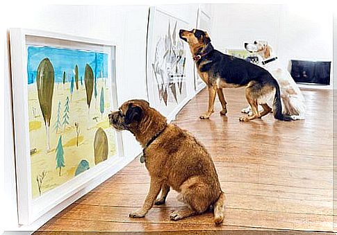 First exhibition in the world created for dogs